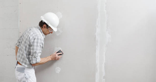 Best Wallpaper Removal and Painting  in Estero, FL